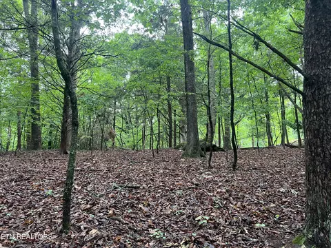Blackberry Ridge Rd, Lenoir City, TN 37772