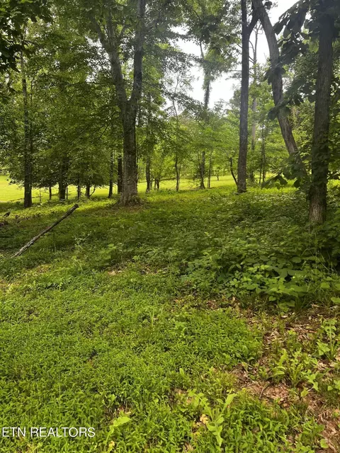 Northview Drive, Kodak, TN 37764