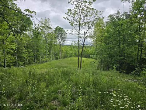 316 Old Rugby Pike, Robbins, TN 37852