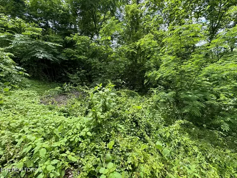 Lot 7 Kings Ridge Rd E, Gatlinburg, TN 37738