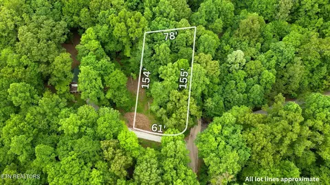 Catfish Lane, La Follette, TN 37766