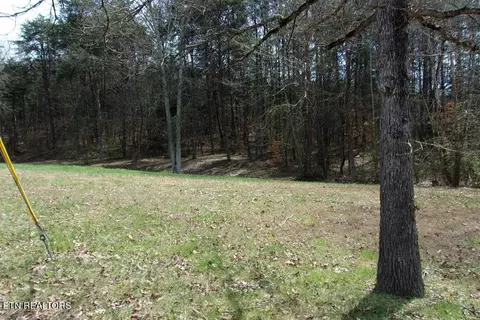 641 Lonesome Pine Rd, Bybee, TN 37713 photo 1