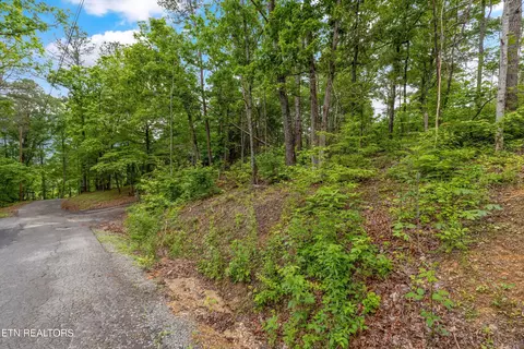 Lot 17 Whipoorwill Hill Way, Sevierville, TN 37862