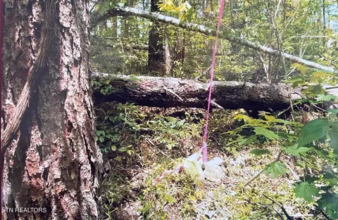 lot3 Old Cades Cove Rd, Townsend, TN 37882