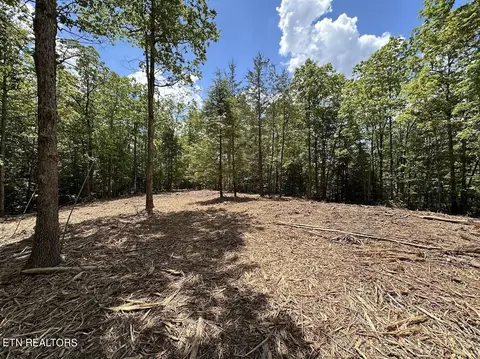 16 16ac Sarah Beth Dr, Jamestown, TN 38556