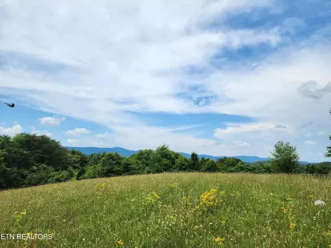 196 Hiwassee Drive, Jacksboro, TN 37757