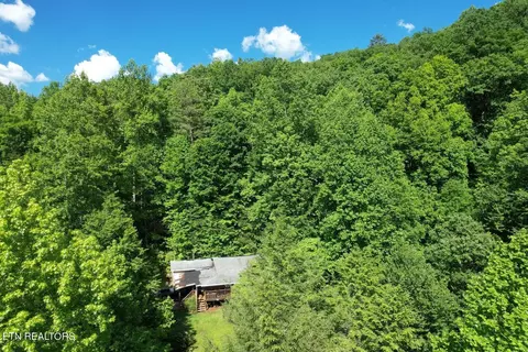 4250 Country Cove Way, Cosby, TN 37722