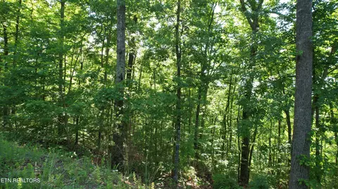 Lots 28/36 Shady Oaks Way, Sevierville, TN 37876