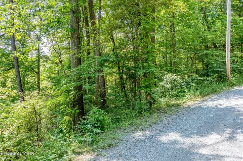 Lt. 34 Chilhowee Loop, Walland, TN 37886 photo 6