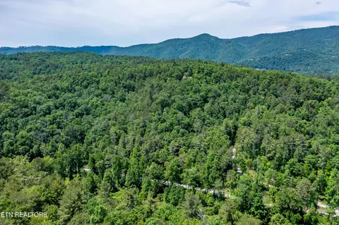 Lt. 34 Chilhowee Loop, Walland, TN 37886 photo 9