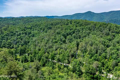 Lt. 34 Chilhowee Loop, Walland, TN 37886 photo 8