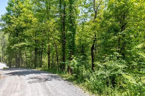 Lt. 34 Chilhowee Loop, Walland, TN 37886 photo 7