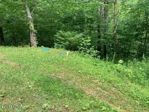 Laurel Rd, Townsend, TN 37882 photo 2
