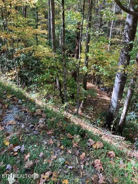Laurel Rd, Townsend, TN 37882 photo 6