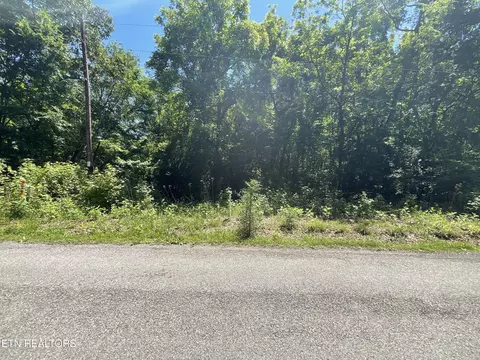 00 Spruce Dr, Spring City, TN 37381