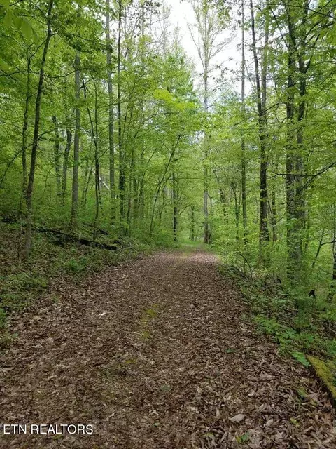 265 Marlow Rd, Clinton, TN 37716 photo 60