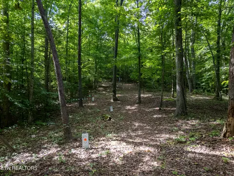 265 Marlow Rd, Clinton, TN 37716 photo 51