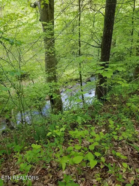265 Marlow Rd, Clinton, TN 37716 photo 56