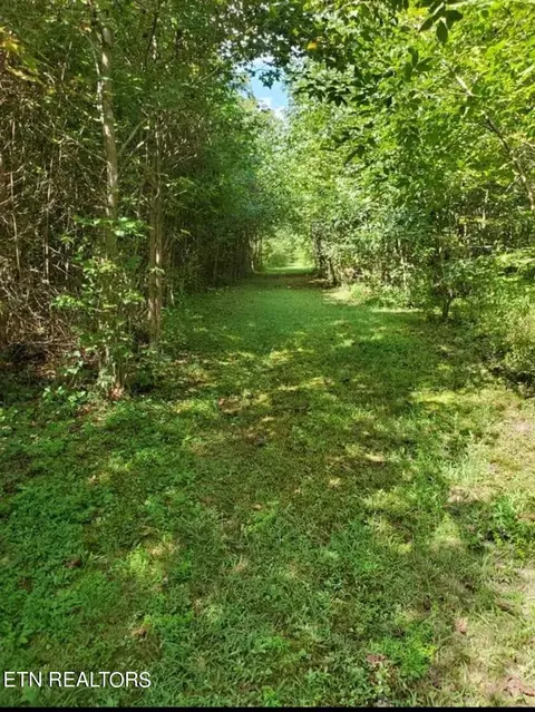 265 Marlow Rd, Clinton, TN 37716 photo 59