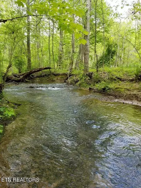 265 Marlow Rd, Clinton, TN 37716 photo 58
