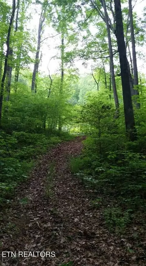265 Marlow Rd, Clinton, TN 37716 photo 53