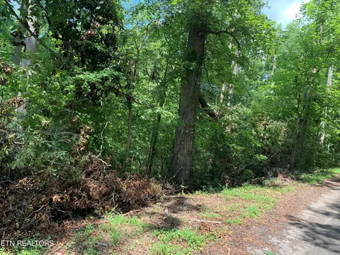 Walker Ave, Seymour, TN 37865