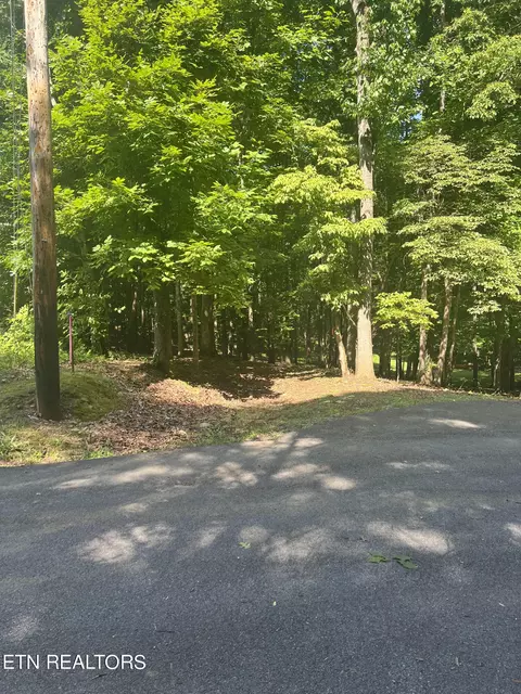 3841 Poplar Ln, Kodak, TN 37764