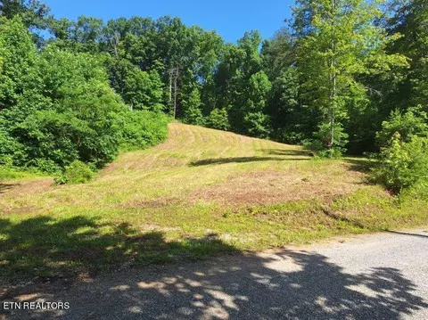 319 Wildcattrail Tr, Madisonville, TN 37354