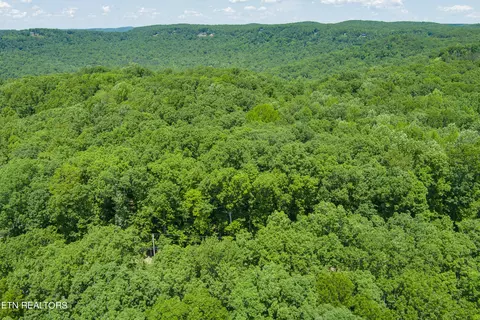 Cumberland Cove Rd, Monterey, TN 38574