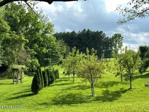 5561 Dearing Rd, Talbott, TN 37877 photo 45