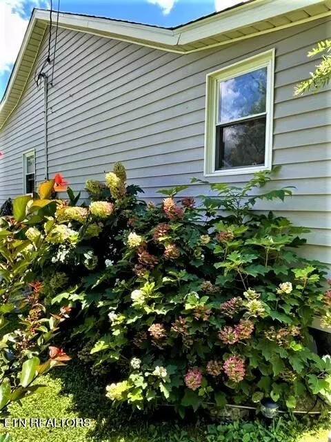 5561 Dearing Rd, Talbott, TN 37877 photo 42