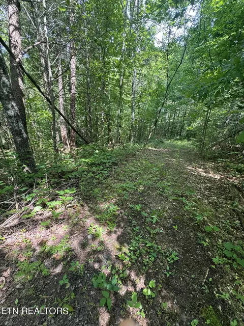 Tall Pines Way, Sevierville, TN 37876