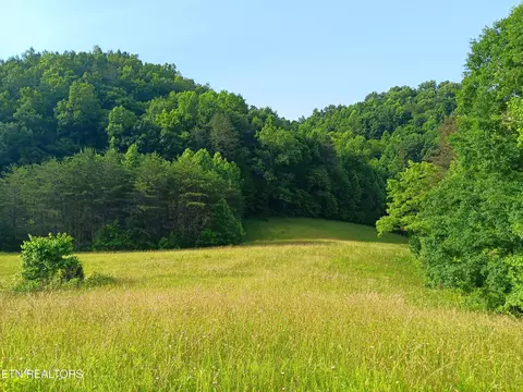 Tract 3 Black Valley Rd, Sneedville, TN 37869