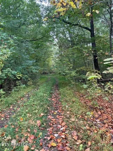 lot1208 Lee Pl 1213 1214 Iron Gate, Baneberry, TN 37890