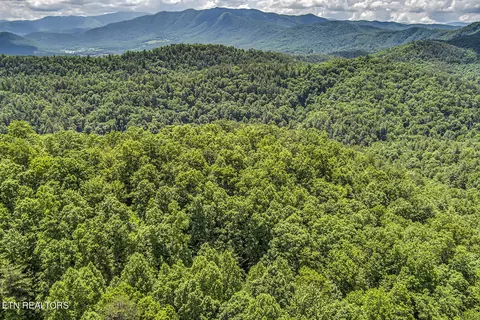 279 Fence Rail Gap Road Rd, Walland, TN 37886