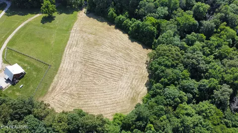 7 35 Acres Mitchell Rd, Blaine, TN 37709