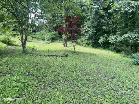509 E Copeland Dr, Powell, TN 37849 photo 2
