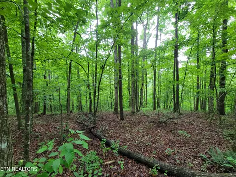 East Place, Monterey, TN 38574