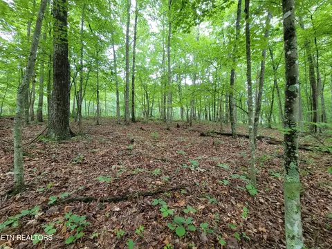 Burks Place, Monterey, TN 38574