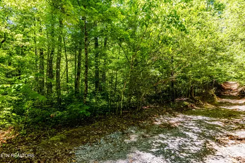 lot11 Bobcat Tr, Tallassee, TN 37878
