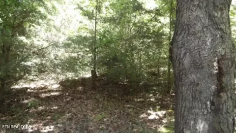 6 90ac Zion Hill Rd, Cookeville, TN 38506