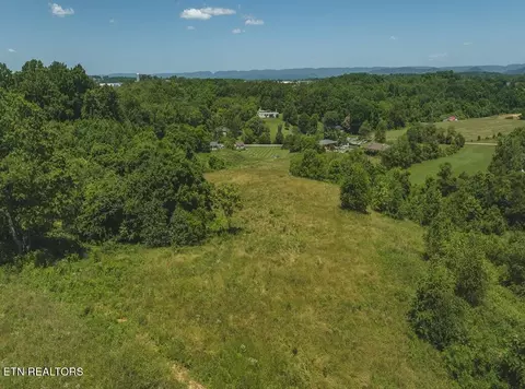 9 E 81 Acres E Sugar Hollow Rd, Russellville, TN 37860