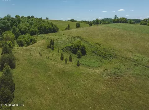 12 E 69 Acre E Sugar Hollow Rd, Russellville, TN 37860