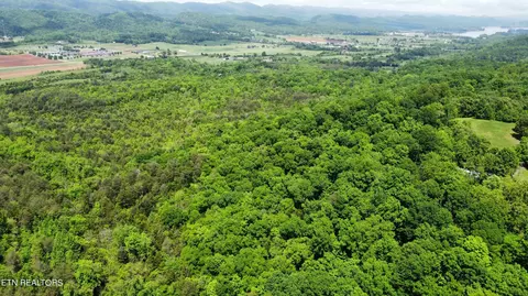 30 Acres Theo Hixon Rd, Rutledge, TN 37861