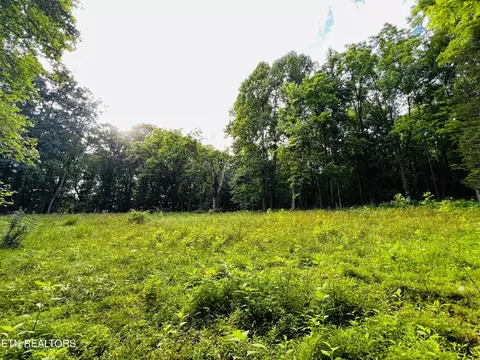 Tbd Sandy Ridge Rd, Jonesville, VA 24263