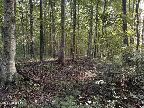 16 53 Ac Riverton Rd, Jamestown, TN 38556