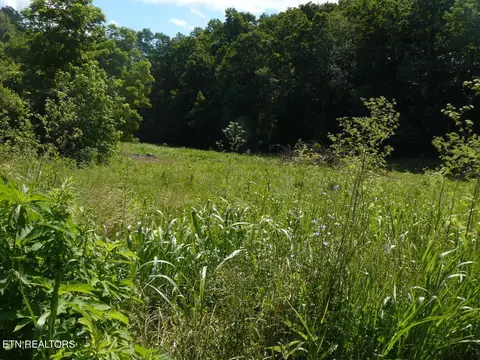16 58 A Old Cave Springs Rd, Tazewell, TN 37879