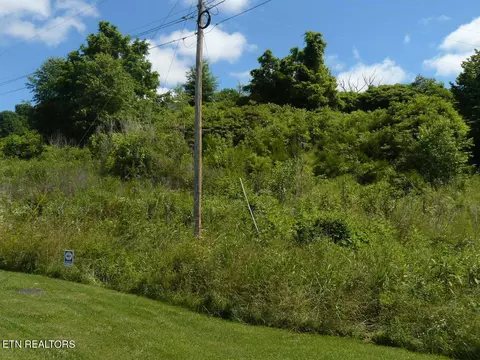 7 34 Acres Old Cave Springs Rd, Tazewell, TN 37879