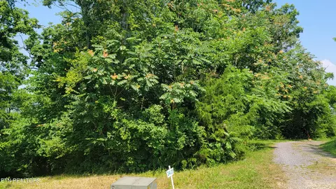 Ivy Way, Newport, TN 37821
