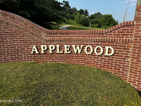 Buckhead Tr, White Pine, TN 37890 photo 4